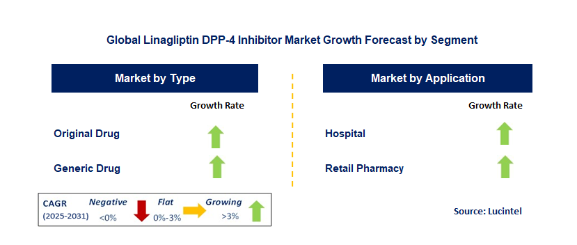 Linagliptin DPP-4 Inhibitor Market by Segment